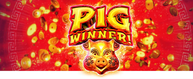 RTG's Pig Winner Slot