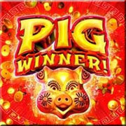 Play Pig Winner Mobile Slot Now!