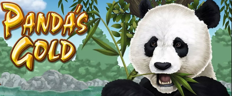 RTG's Pandas Gold Slot