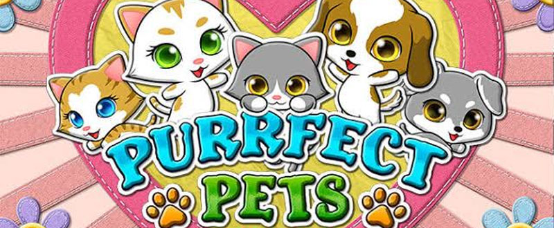 RTG's Purrfect Pets Slot